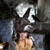 111 Bild-Thumbnail