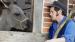 111 Bild-Thumbnail