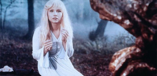 Die Gänsehirtin am Brunnen