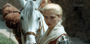 Die Geschichte von der Gänseprinzessin und ihrem treuen Pferd Falada