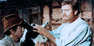 Der kleine und der große Klaus