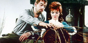 König Drosselbart König Drosselbart