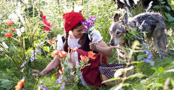 Rotkäppchen